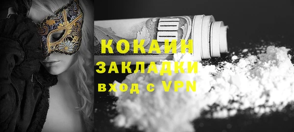 молекула духа Дмитриев