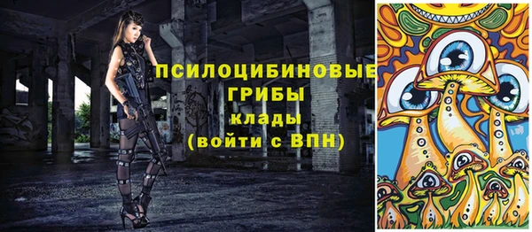 мяу мяу мука Дмитров