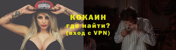 шишки Дмитровск