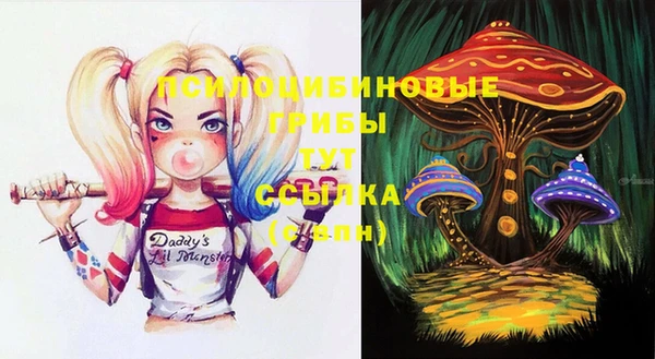 меф VHQ Гусев