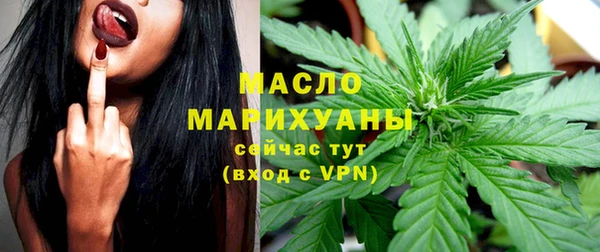 молекула духа Дмитриев