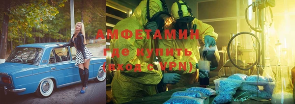 шишки Дмитровск