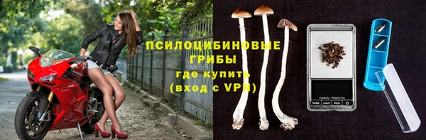 шишки Дмитровск