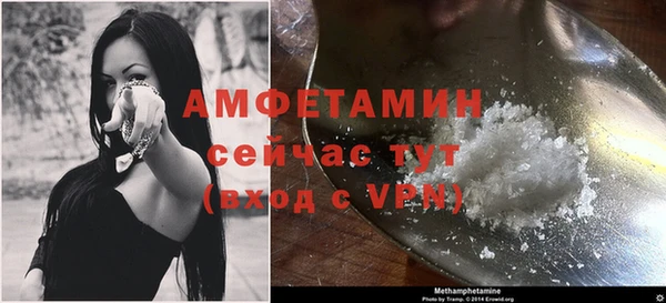 молекула духа Дмитриев
