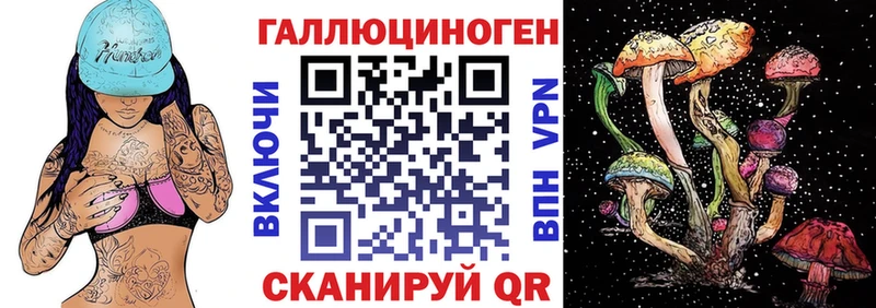 Купить где  Ясный  Галлюциногенные грибы GOLDEN TEACHER 